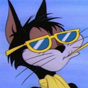 Meet your Posher, Audrey